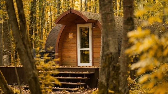Four-bed mini-house